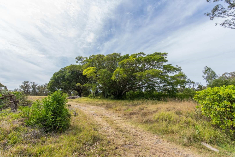 0 Bedroom Property for Sale in Wedgewood Golf Estate Eastern Cape